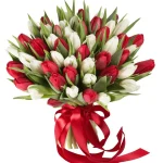 Тюльпаны красно-белый микс